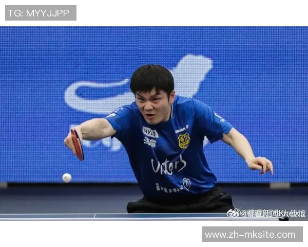 樊振东加盟德甲引发热议陈梦喜讯不断球迷欢呼雀跃